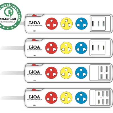Ổ CẮM CÓ CỔNG SẠC USB CÔNG SUẤT TỐI ĐA 10A 220VAC MAX 2200W (OUTLET WITH USB CHARGING PORT TOTAL 10A 220VAC MAX 2200W)